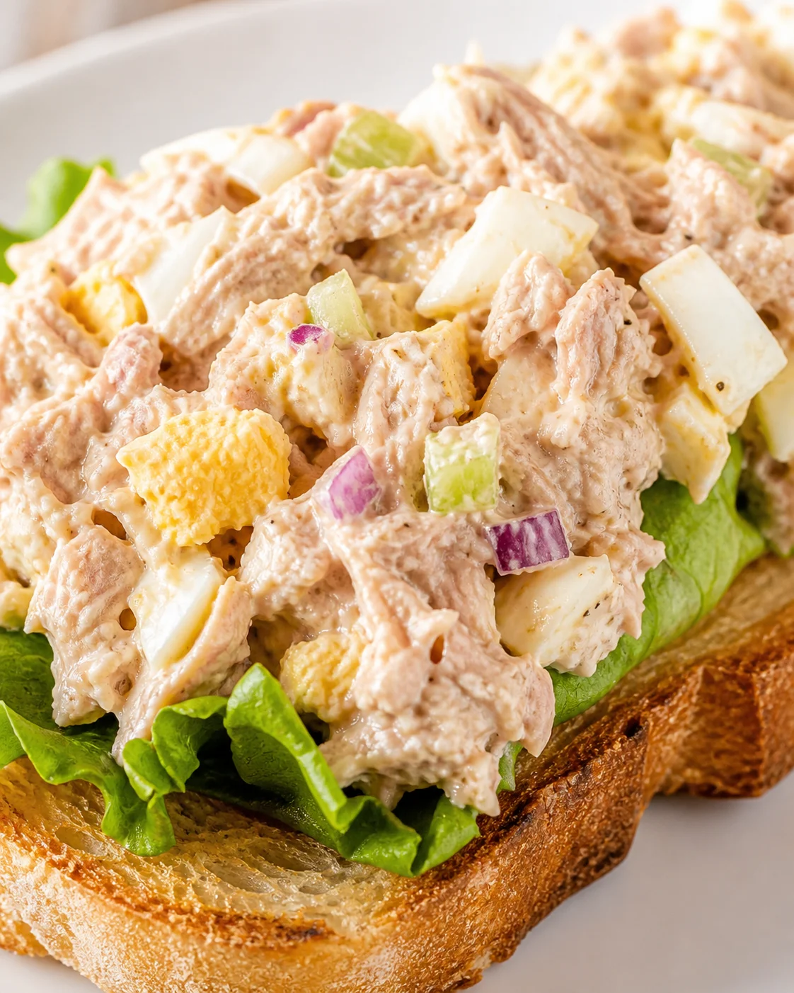 Open-faced toast with creamy tuna salad and crisp lettuce on a plate.