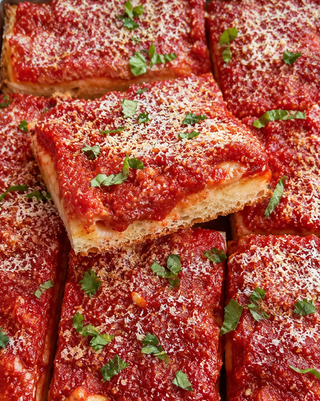 Close-up of baked Sicilian tomato pie topped with cheese and fresh herbs.