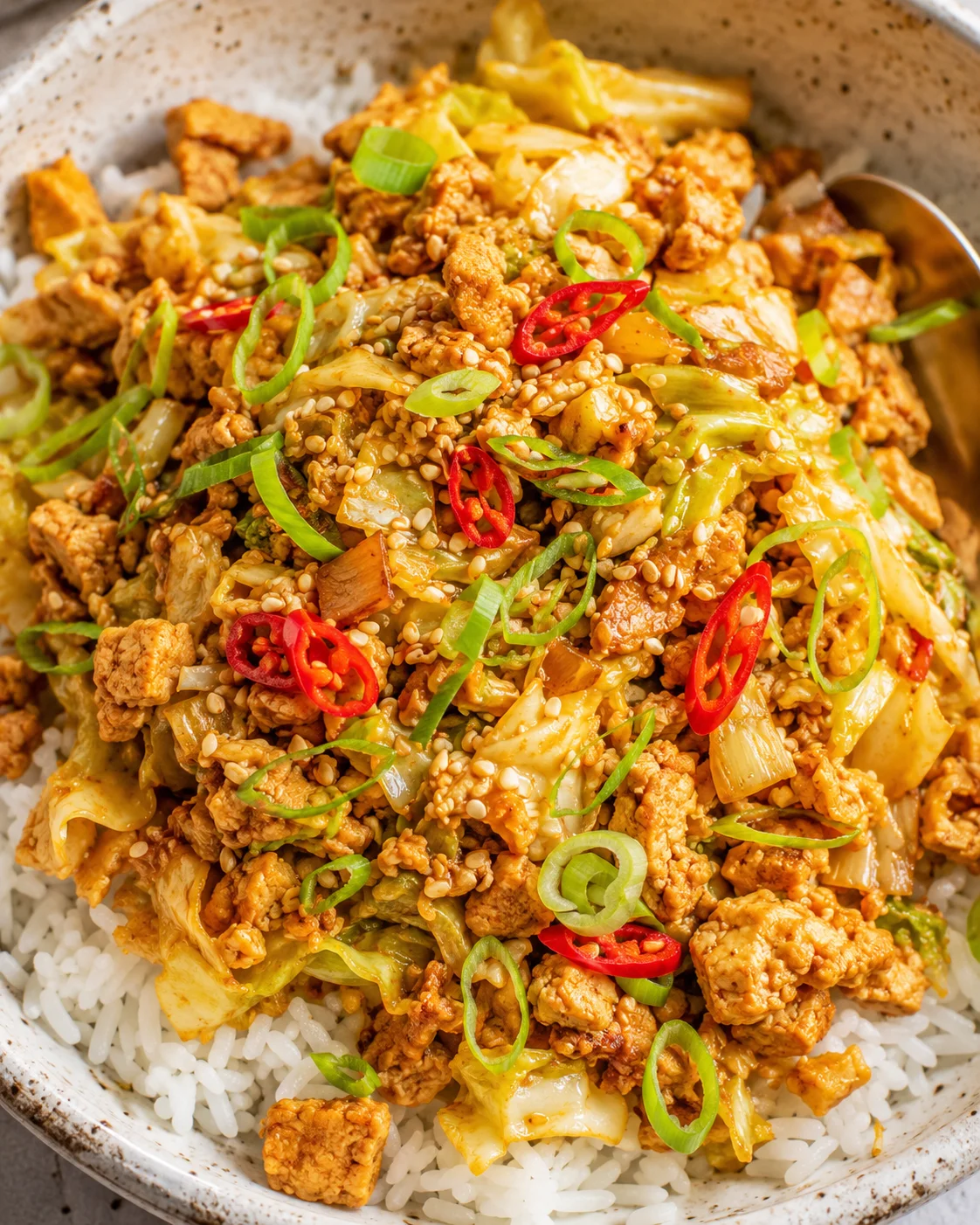 Colorful tofu and cabbage stir fry served over white rice, garnished with sliced chili.