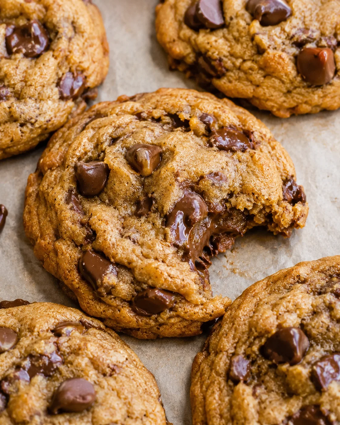 Close-up of a bitten chewy pumpkin chocolate chip cookie showing melted chocolate pockets