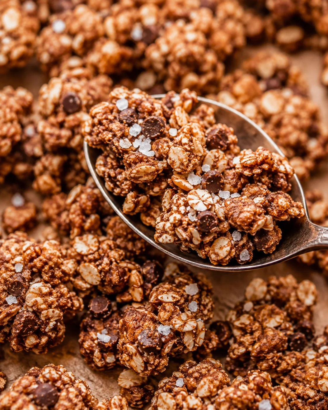 Salted Chocolate Chip Granola Clusters Close-up of crunchy salted chocolate chip granola clusters with chocolate chips and sea salt.