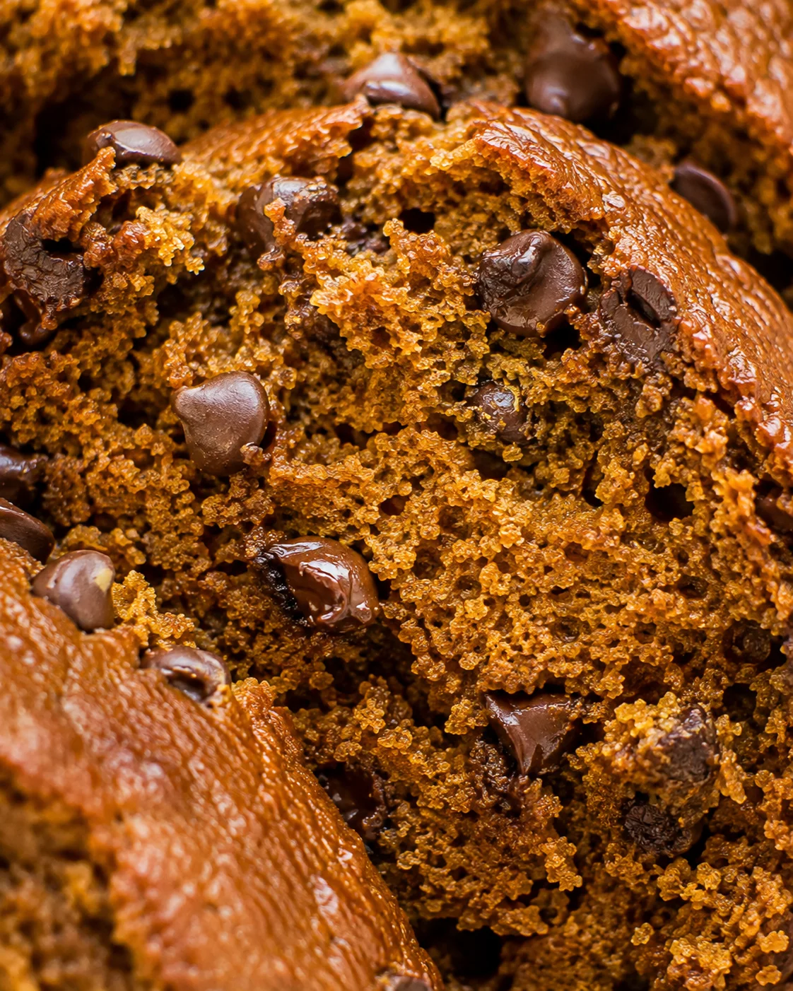 Close-up of pumpkin chocolate chip bread crumb with melted chocolate chips