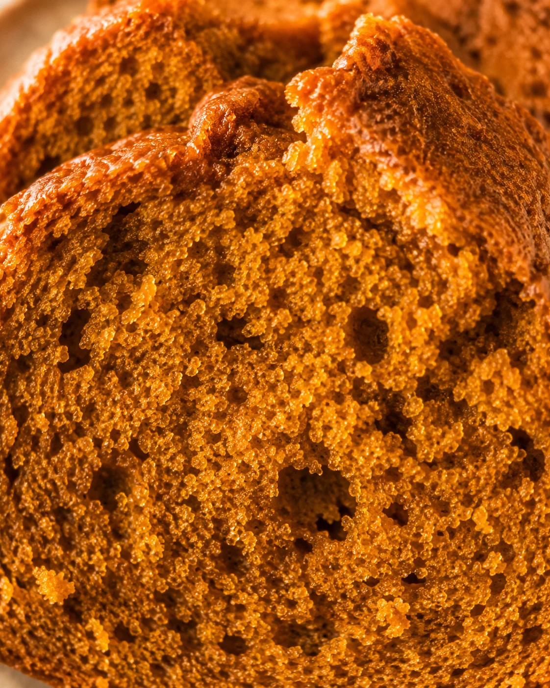 Macro detail of pumpkin bread crumb and small air pockets in the interior