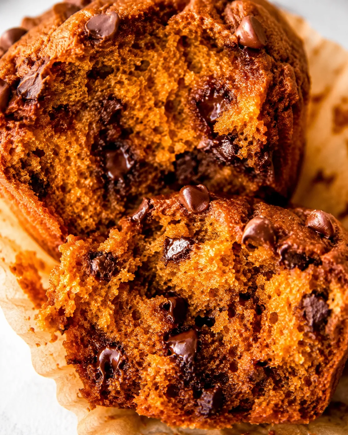 Interior crumb of a pumpkin protein muffin with melted chocolate chips