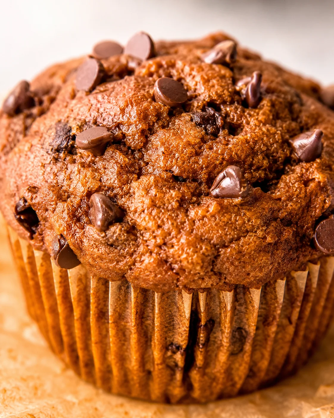 Close-up of a pumpkin protein muffin top studded with chocolate chips
